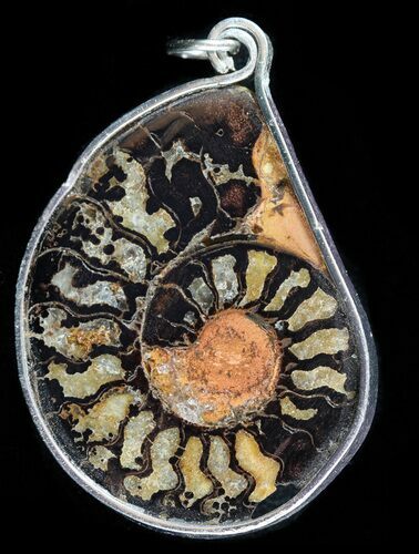 Moroccan Ammonite Fossil Pendant #58373